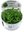 Staurogyne Repens 1-2-grow