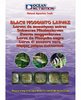 Black Mosquito Larvae Ocean Nutrition