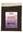 Placa Artémia com Alho e Spirulina Ocean Nutrition 454g
