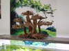 Florest Tree Bonsai