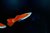 Guppy Full Red Albino