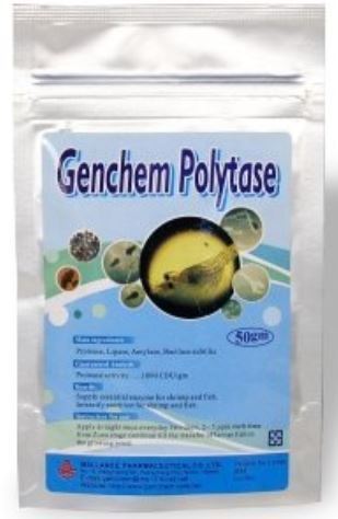 Genchem Polytase 50gr