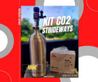 Ler contributo inteiro: Kit de CO2 Strideways