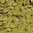Sera Pleco Chips 100ml