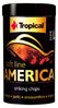 Tropical Soft Line America Size L 250ml