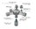 Week Aqua Splitter CO2 1-3