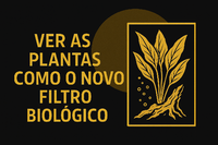 Ler contributo inteiro: Como as Plantas Podem Ser o Verdadeiro Filtro Biológico nos Aquários Plantados
