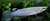 Aplocheilus affinis (var. azul)