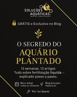 Ler contributo inteiro: O Segredo do Aquário Plantado - Serie 0/13