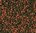 Tropical Cichlid Omnivore Medium Pellet 1000ml