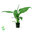 Lirio de la paz - Spathiphyllum verde