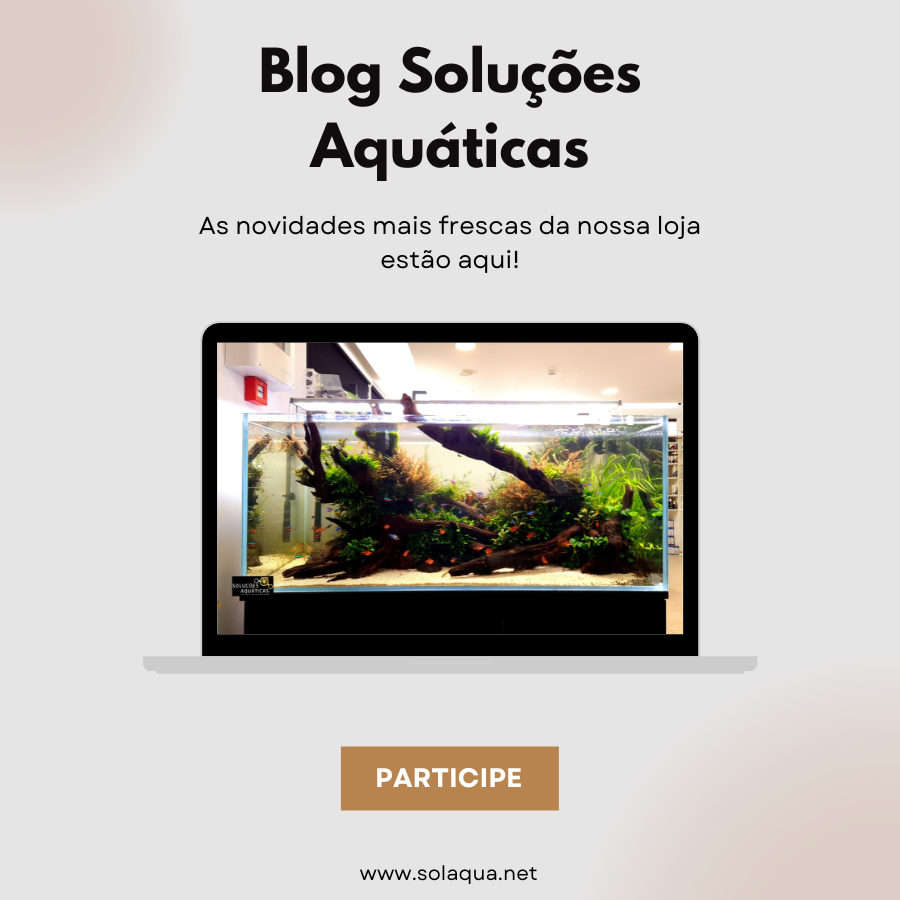 Blog_Solucoes_Aquaticas