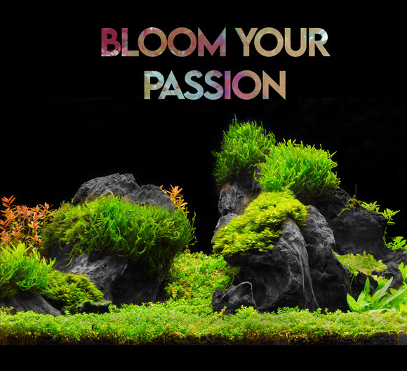BSP_Slogan_-_Copia