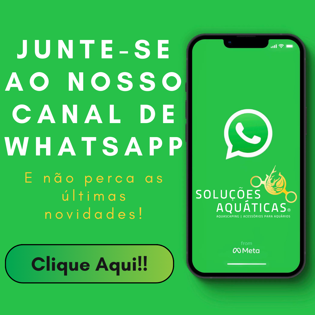 Canal Whatsapp